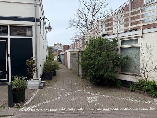 Foto 19 van Werfstraat 217