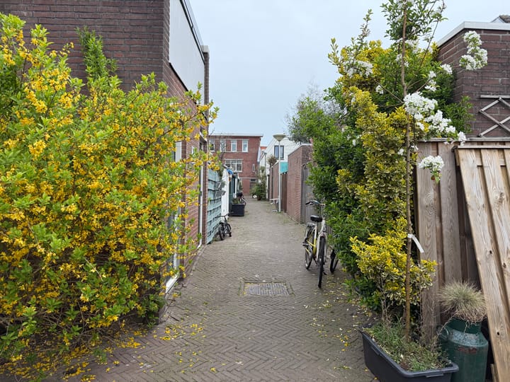 Foto 20 van Werfstraat 217