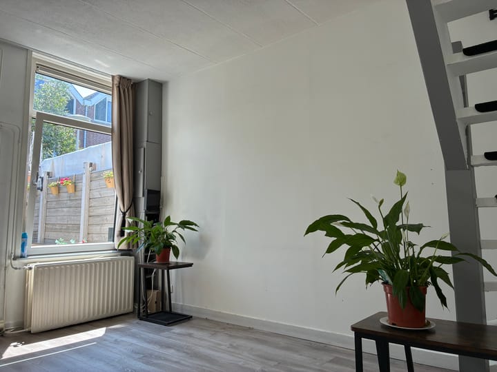 Foto 7 van Werfstraat 217