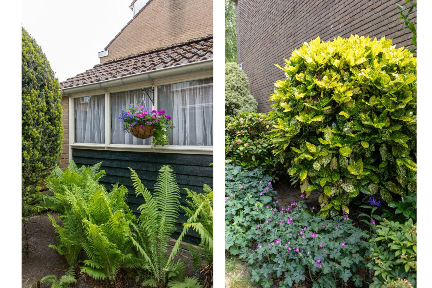 Foto 20 van Berkenlaan 1