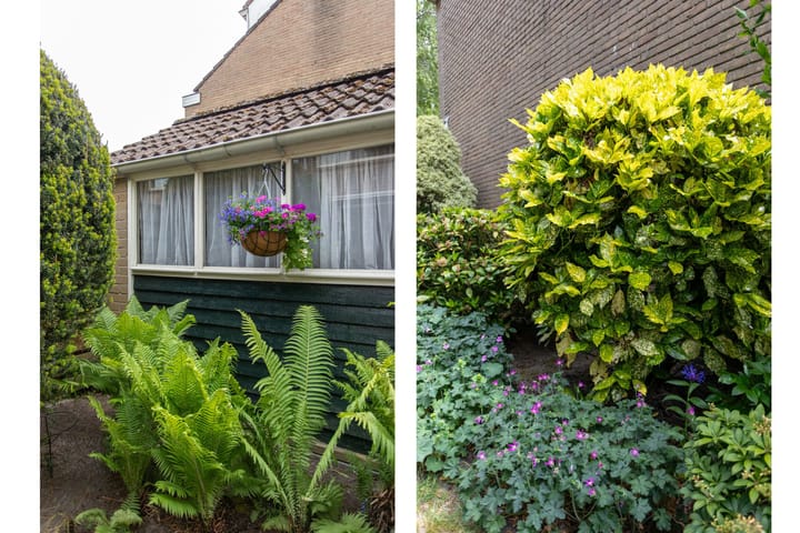 Foto 20 van Berkenlaan 1