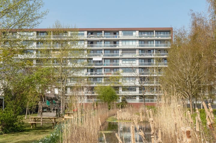 Foto 2 van Pieter Calandlaan 859