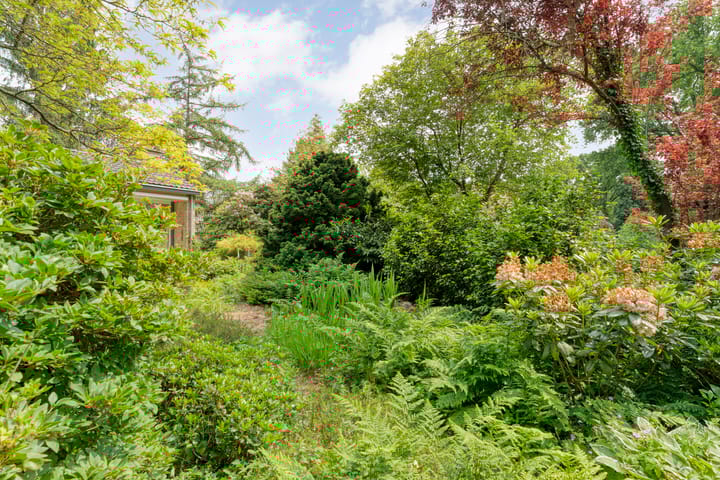 Foto 50 van Wolfskuilstraat 22