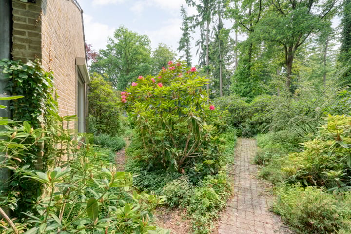 Foto 65 van Wolfskuilstraat 22