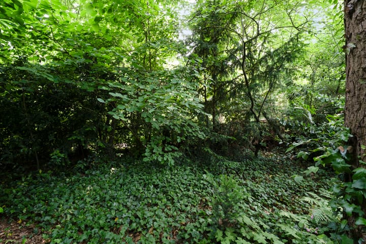 Foto 66 van Wolfskuilstraat 22