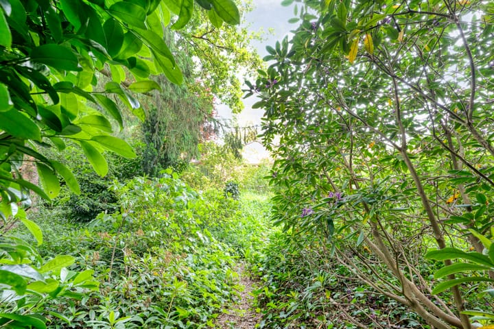 Foto 67 van Wolfskuilstraat 22