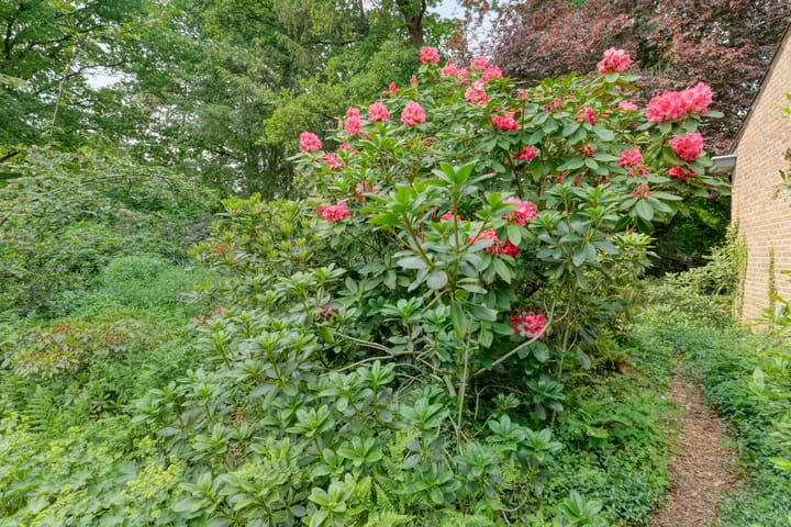 Foto 69 van Wolfskuilstraat 22