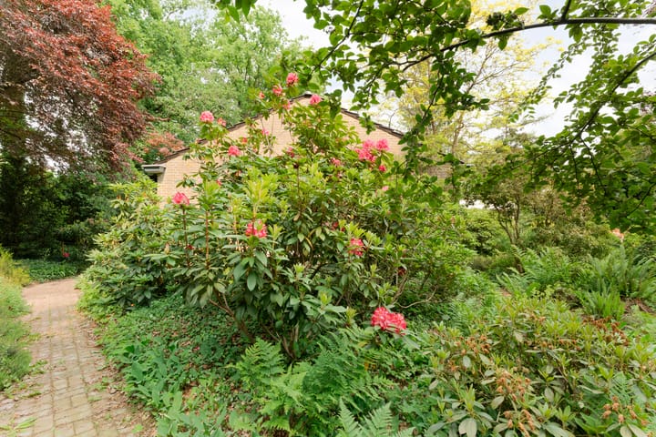 Foto 70 van Wolfskuilstraat 22