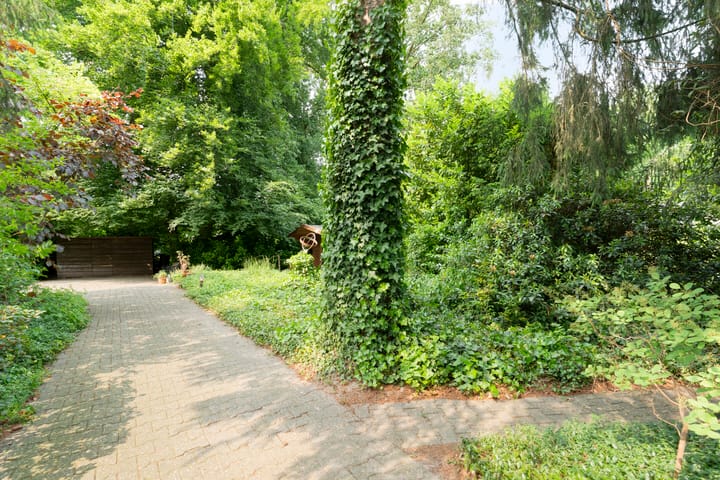 Foto 74 van Wolfskuilstraat 22