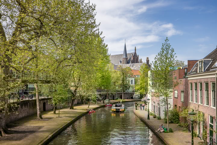 Foto 19 van Oudegracht 401-AJ