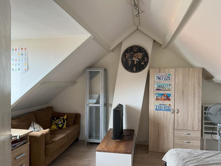 Foto 16 van van Wassenaerstraat 18