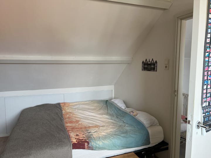 Foto 17 van van Wassenaerstraat 18