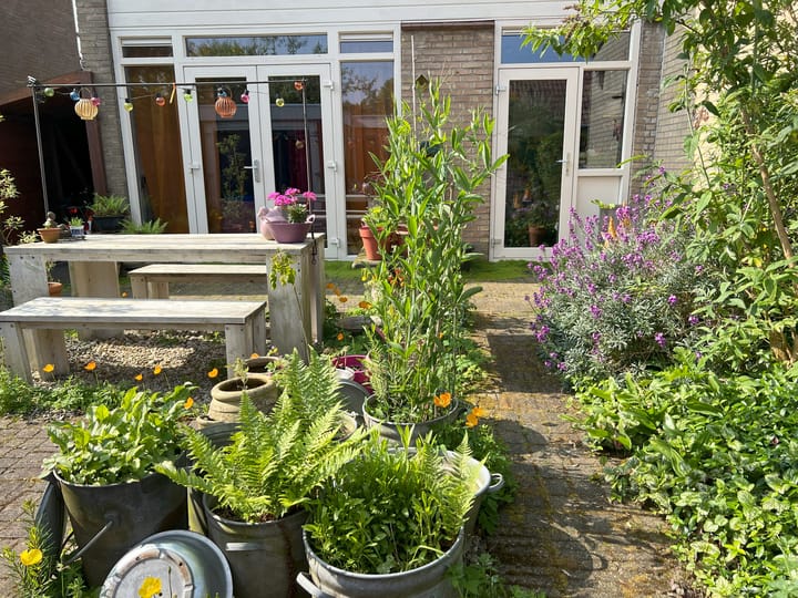 Foto 22 van van Wassenaerstraat 18