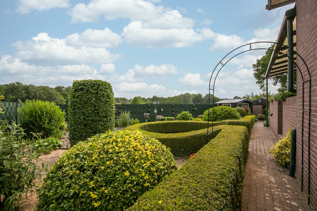 Foto 31 van Sint Petrusstraat 9