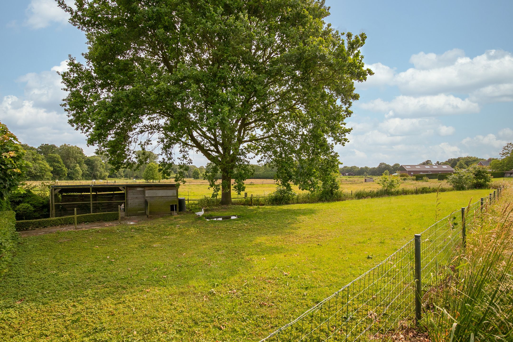 Foto 33 van Sint Petrusstraat 9