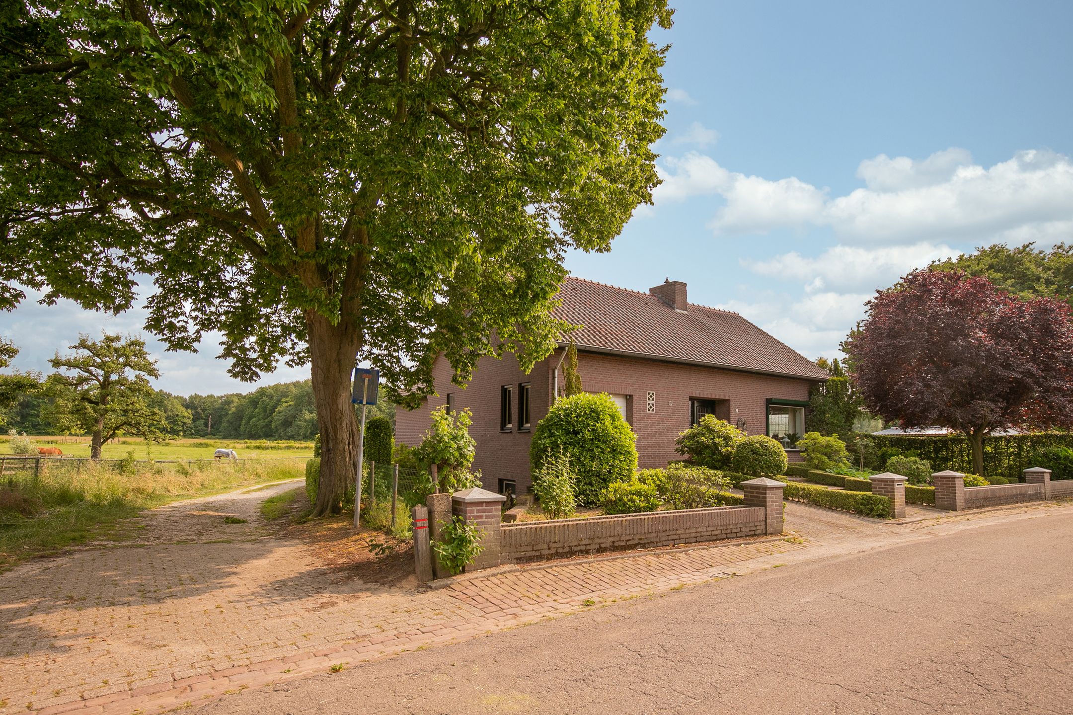 Foto 39 van Sint Petrusstraat 9