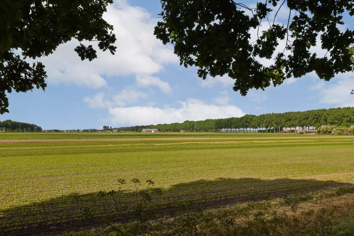 Foto 28 van Dr. Heijelaan 32