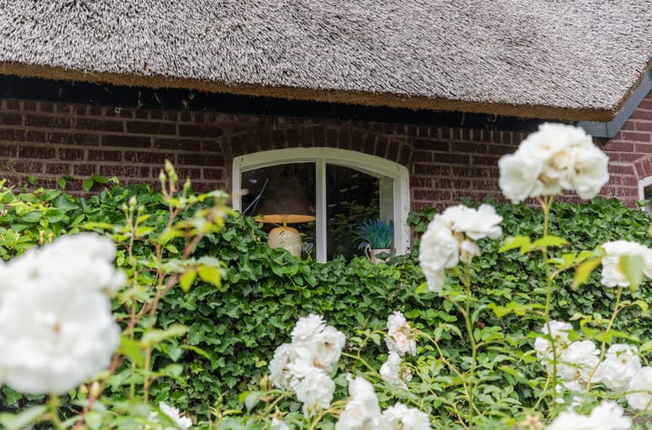 Foto 5 van Weelsedijk 26