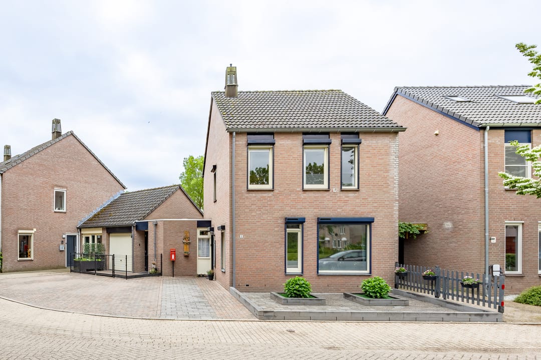 Foto 2 van Kogeldistel 8