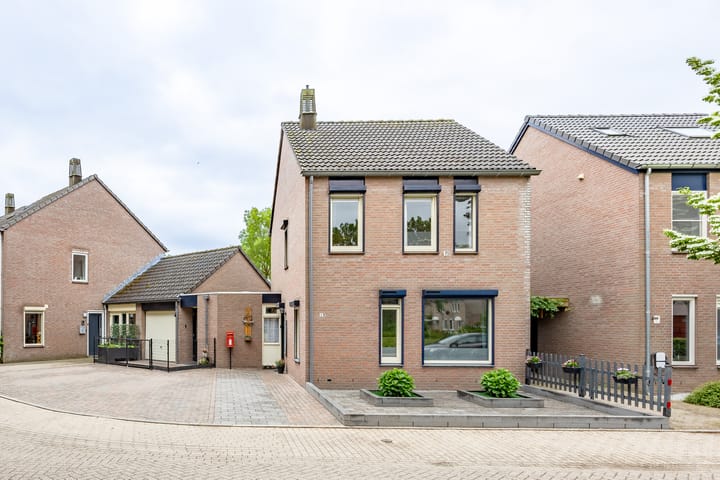 Foto 2 van Kogeldistel 8