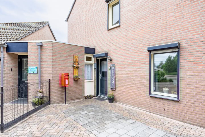 Foto 4 van Kogeldistel 8