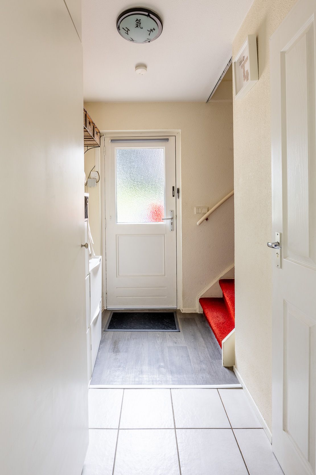 Foto 5 van Kogeldistel 8