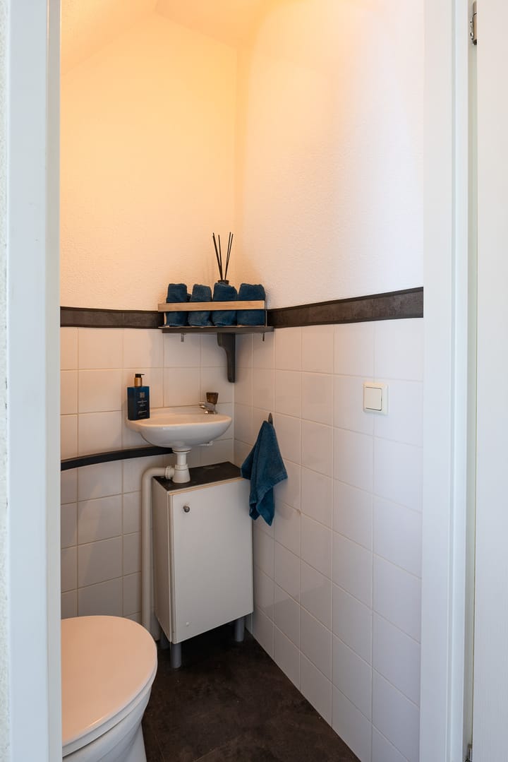 Foto 6 van Kogeldistel 8