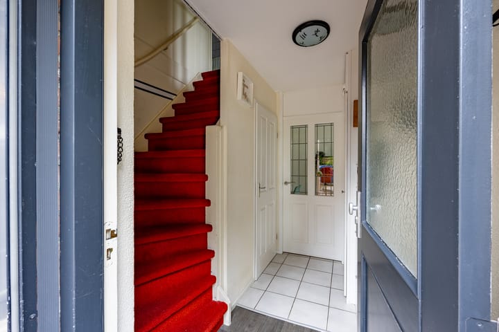 Foto 7 van Kogeldistel 8