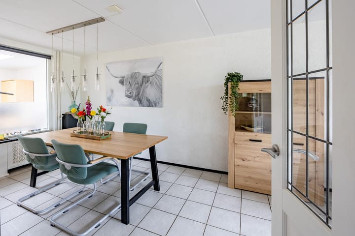 Foto 12 van Kogeldistel 8