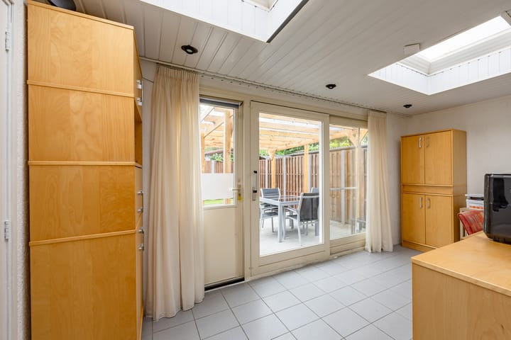 Foto 16 van Kogeldistel 8