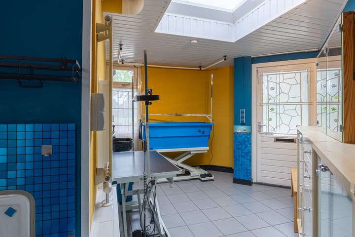 Foto 18 van Kogeldistel 8