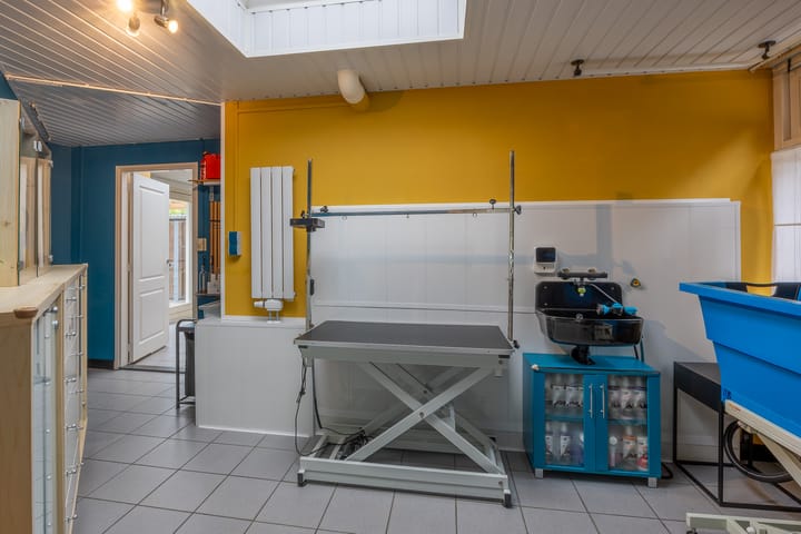 Foto 19 van Kogeldistel 8