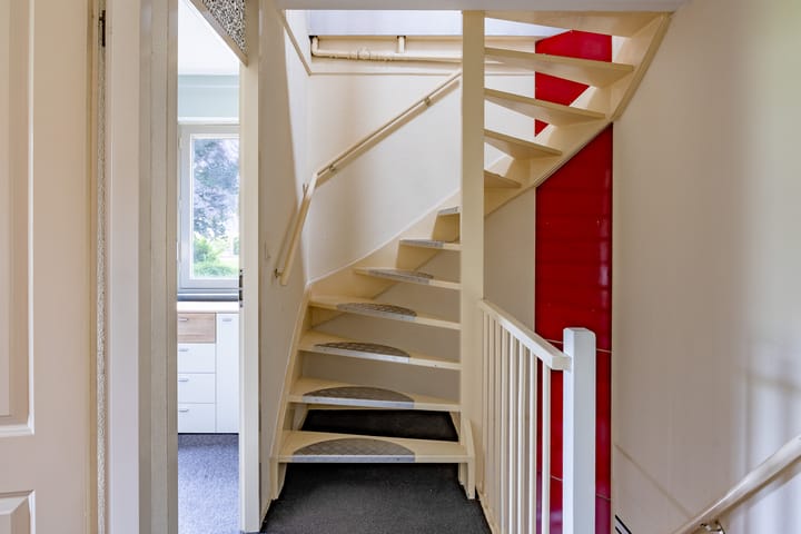 Foto 20 van Kogeldistel 8