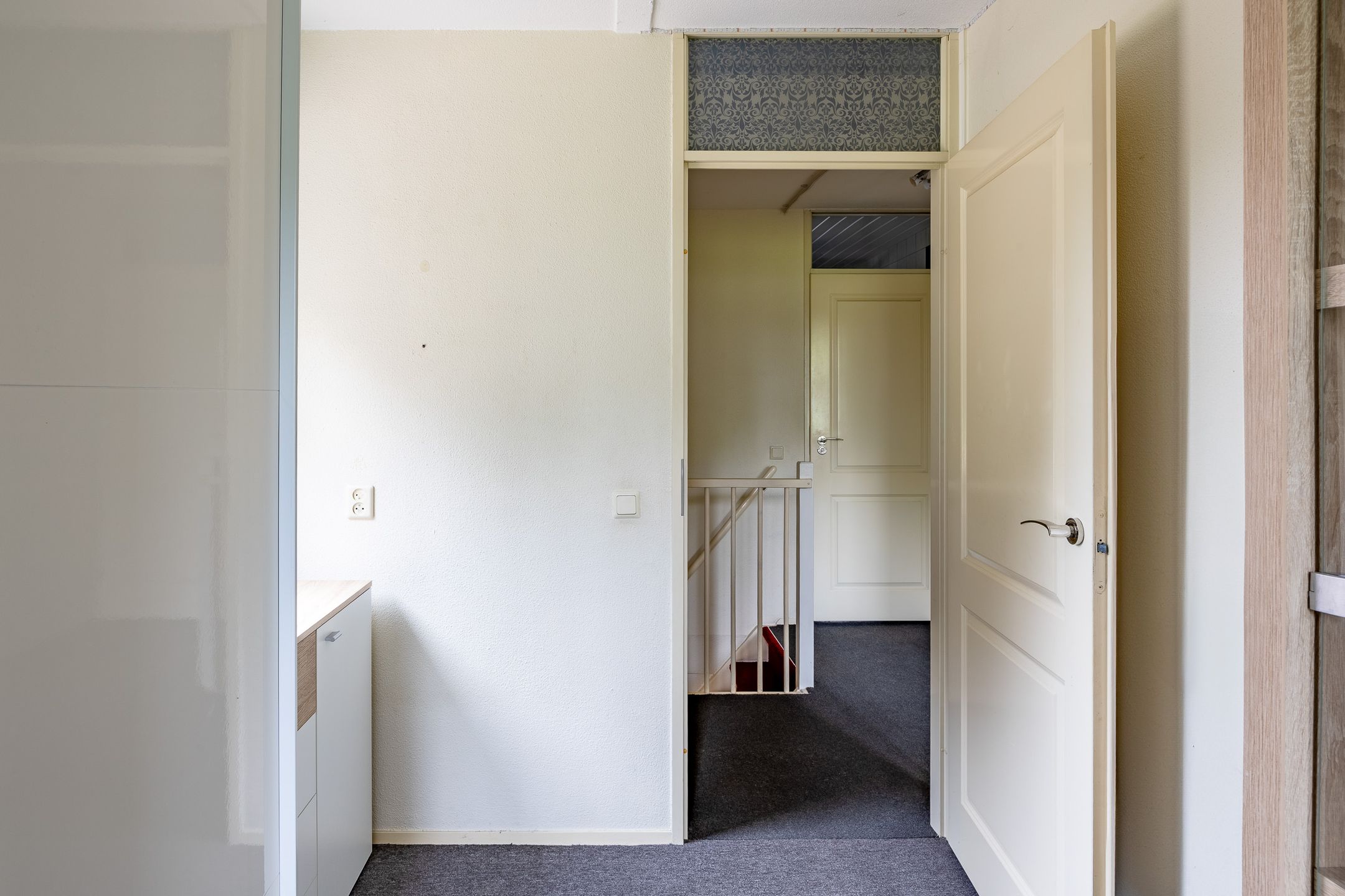 Foto 21 van Kogeldistel 8