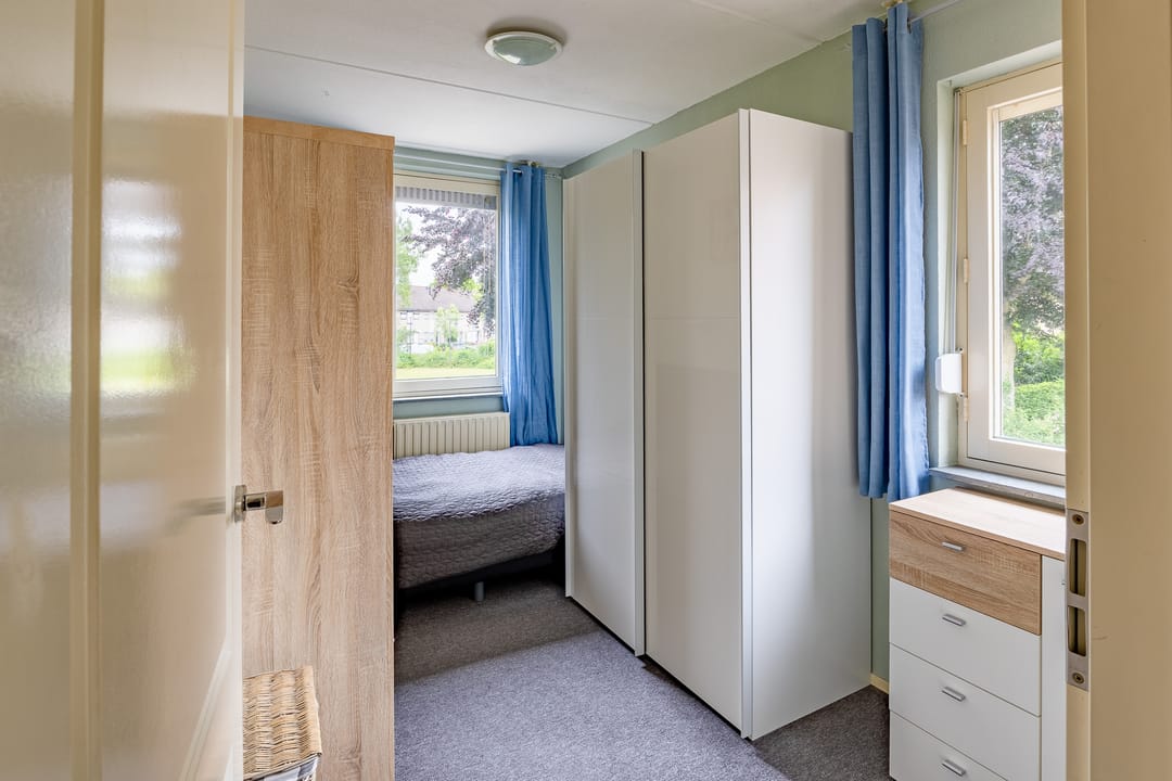 Foto 22 van Kogeldistel 8