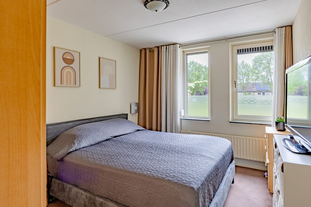 Foto 23 van Kogeldistel 8