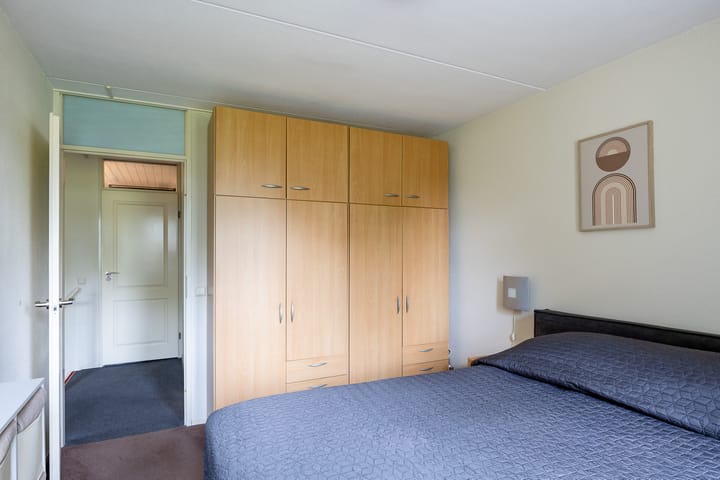 Foto 24 van Kogeldistel 8