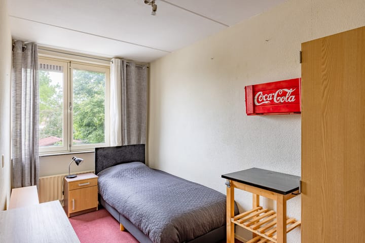 Foto 25 van Kogeldistel 8