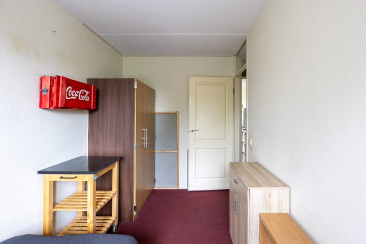 Foto 26 van Kogeldistel 8