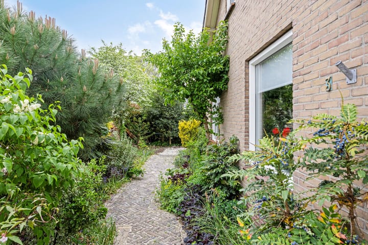 Foto 7 van Alingterp 3