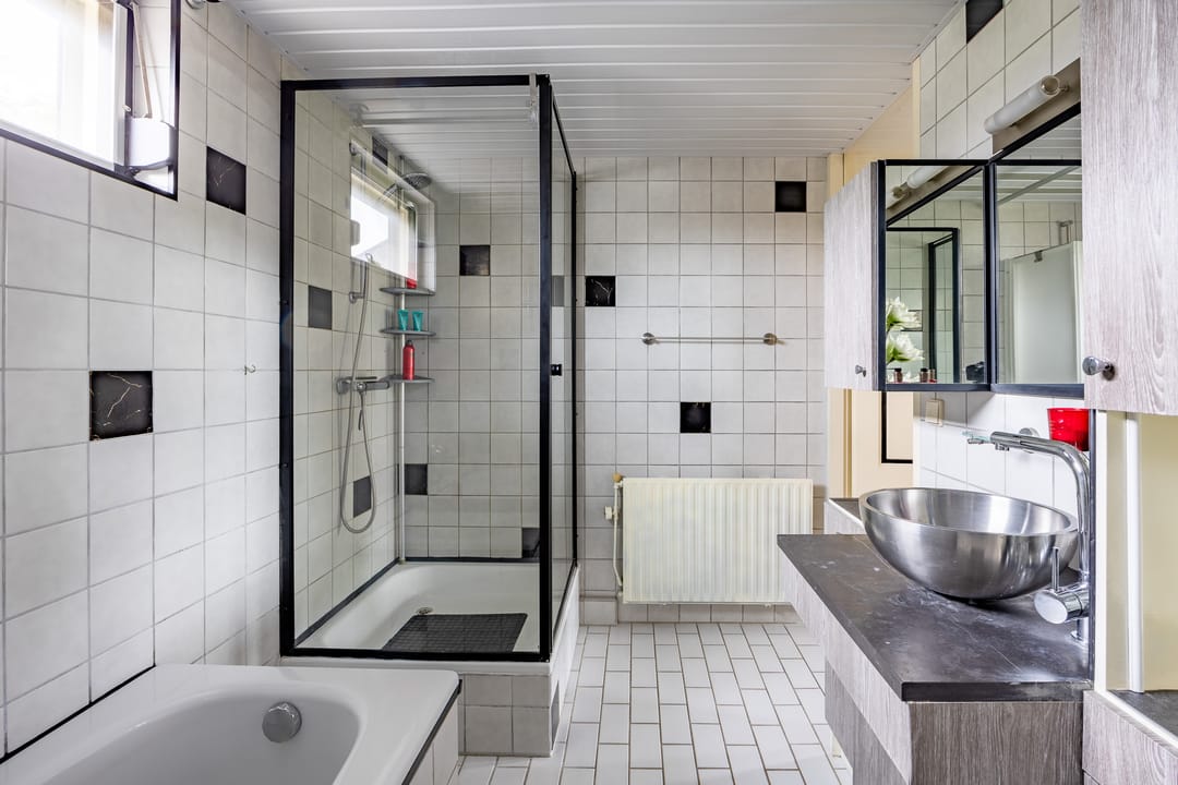 Foto 28 van Kogeldistel 8