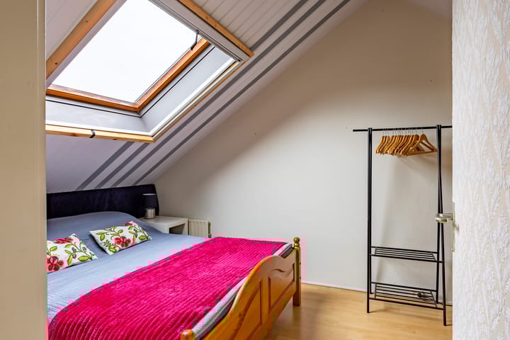 Foto 29 van Kogeldistel 8