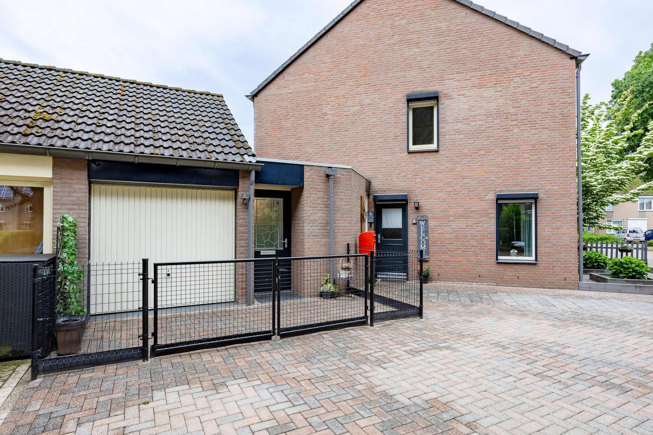 Foto 30 van Kogeldistel 8