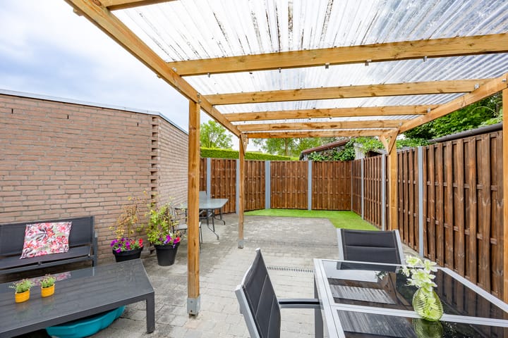 Foto 31 van Kogeldistel 8