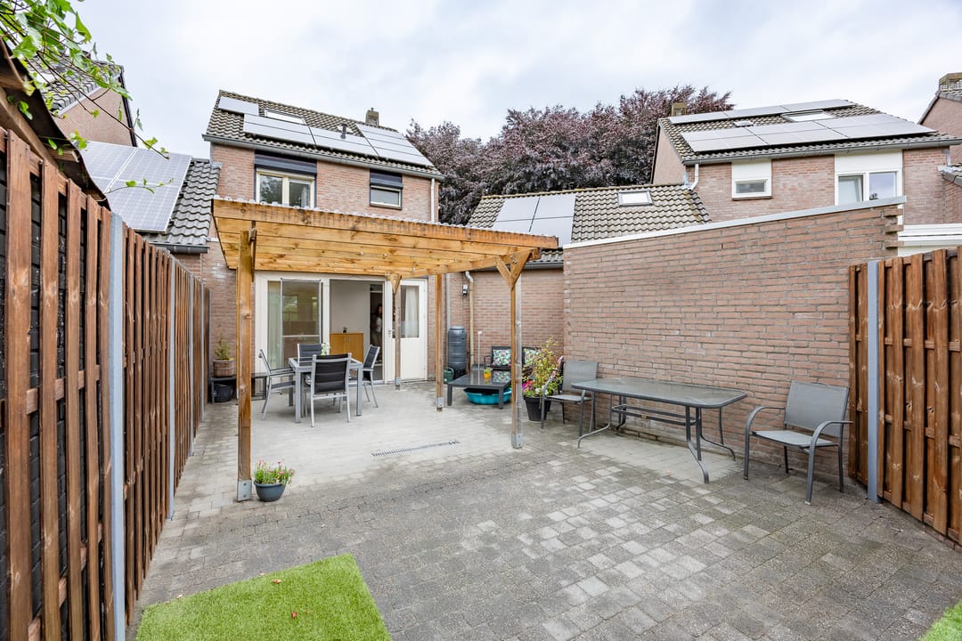 Foto 32 van Kogeldistel 8