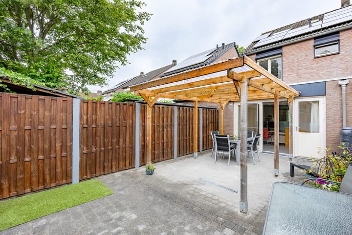 Foto 33 van Kogeldistel 8