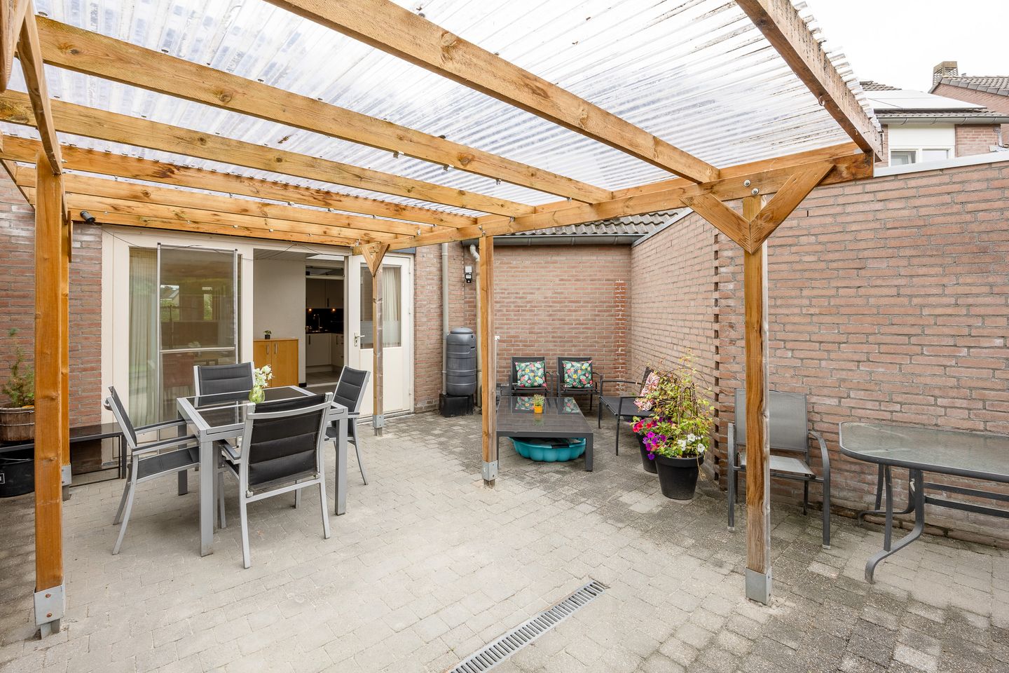 Foto 34 van Kogeldistel 8