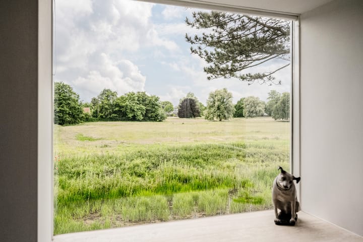 Foto 11 van Veen en Duin 118