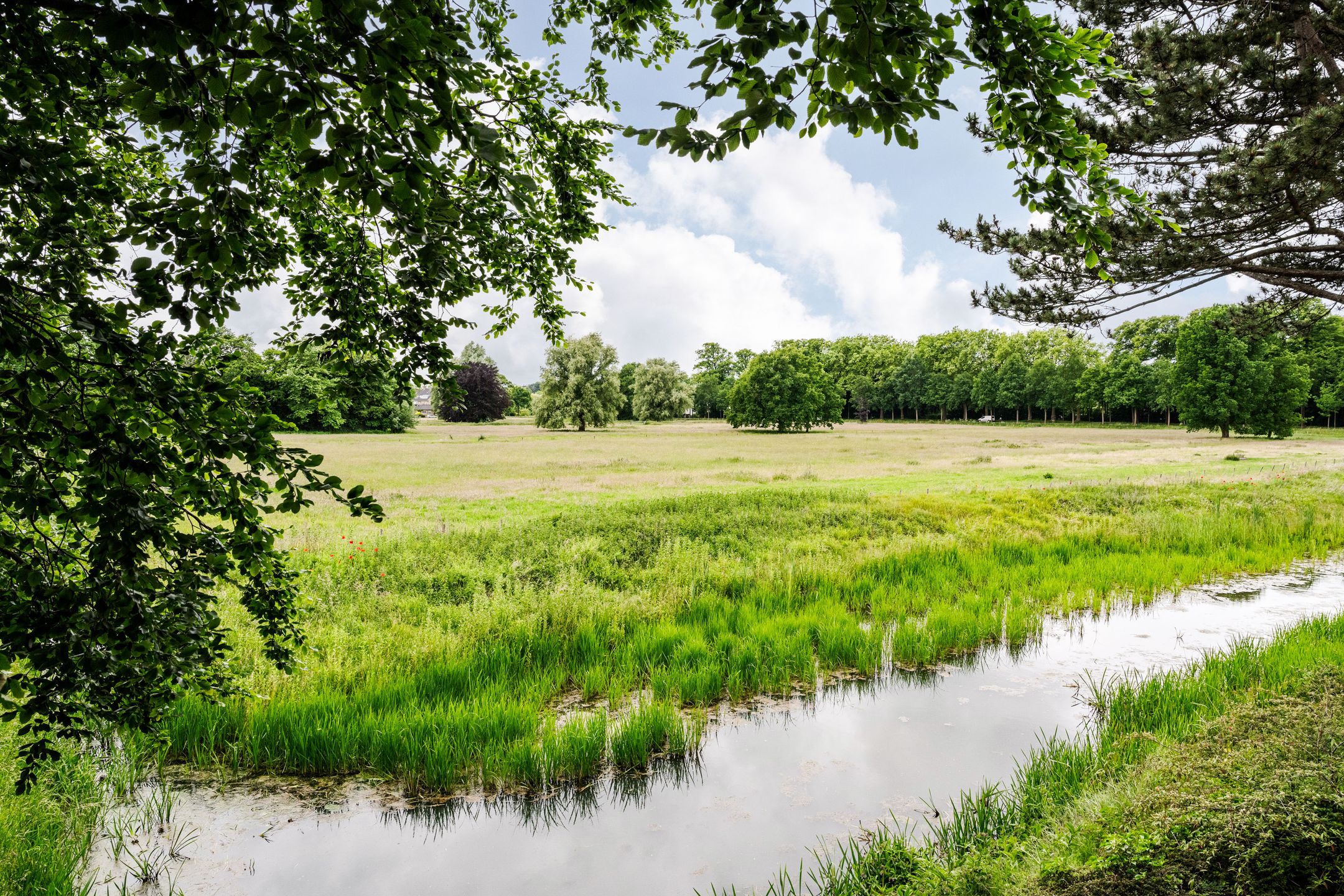 Foto 27 van Veen en Duin 118