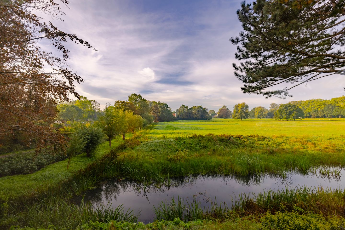 Foto 29 van Veen en Duin 118